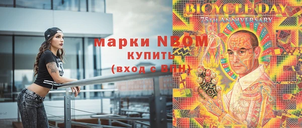 шишки Бикин