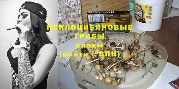 mdpv Козловка