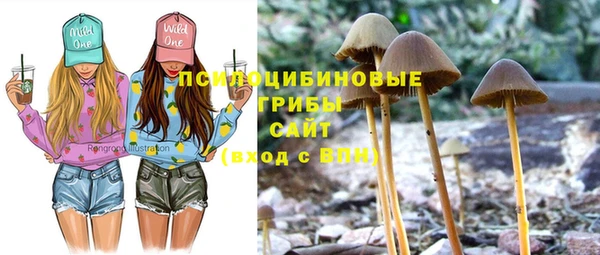 спайс Кодинск