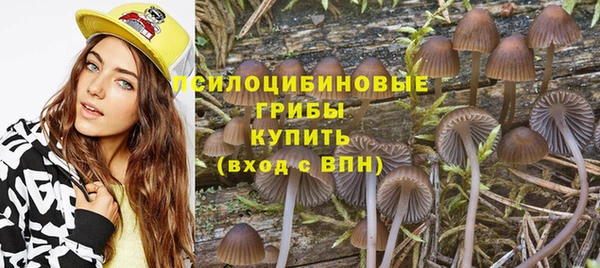 mdpv Козловка