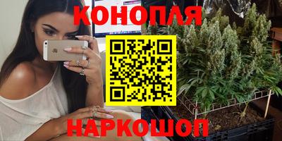 тгк Будённовск