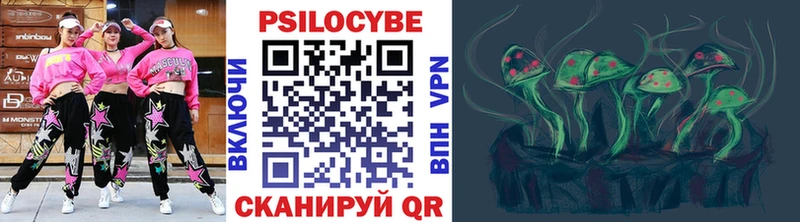 Псилоцибиновые грибы мицелий  Киржач 