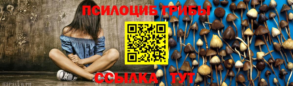 Галлюциногенные грибы MAGIC MUSHROOMS  Галлюциногенные грибы Psilocybe  Киржач 