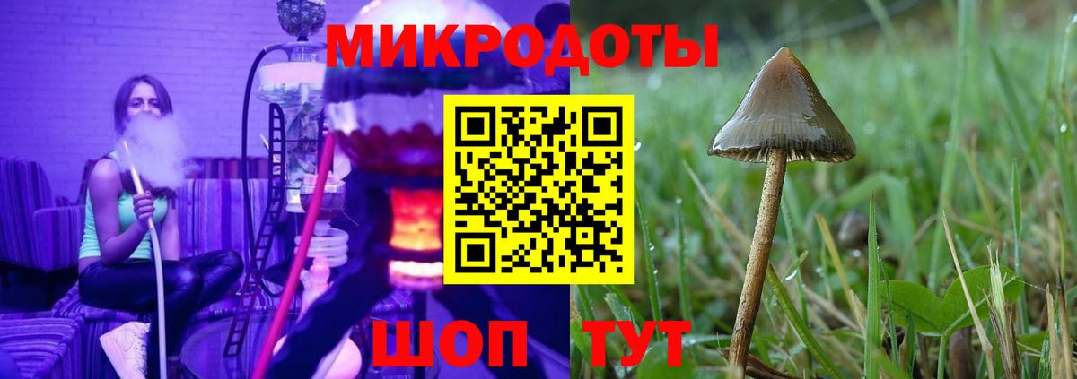 Псилоцибиновые грибы мицелий Киржач