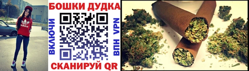 МЕГА ONION  Киржач  darknet формула  Бошки Шишки сатива 